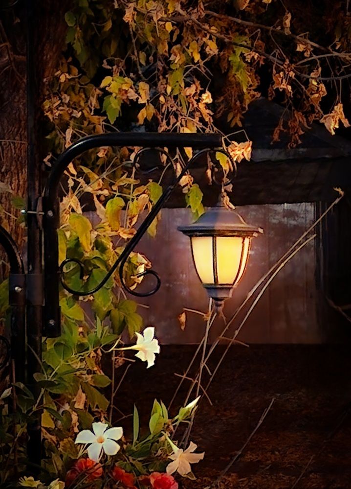 Фотография автора Al