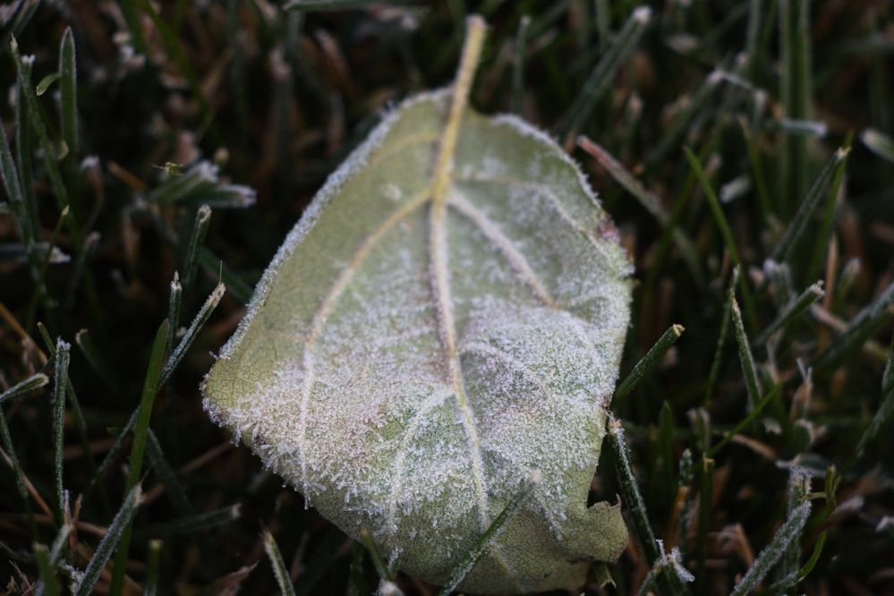 Фотография автора Al