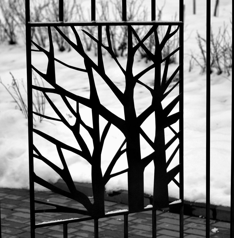 Photograph by Светлана Логинова