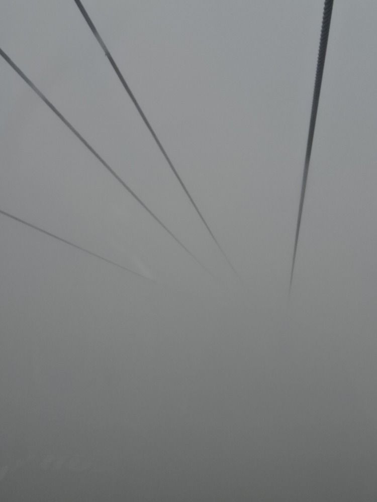Photograph by Полина Солодягина