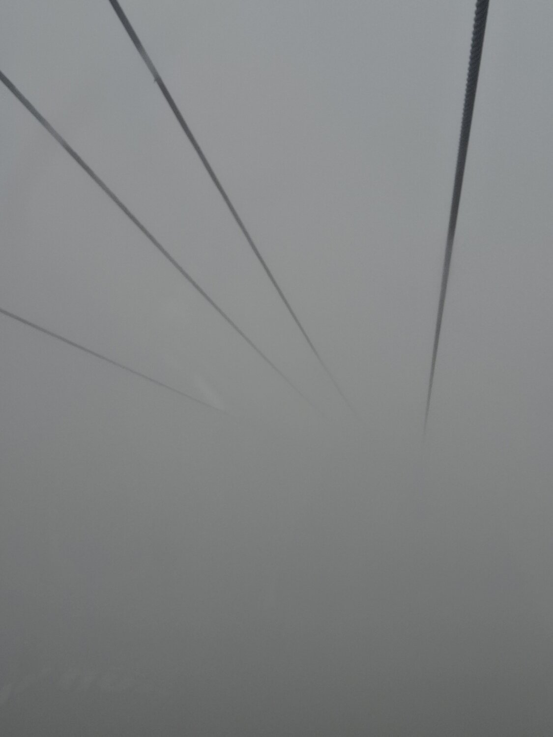 Photo #12713416