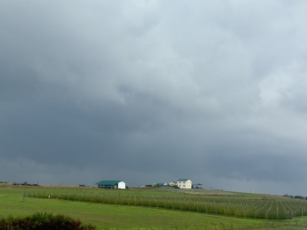 Фотография автора  Мария