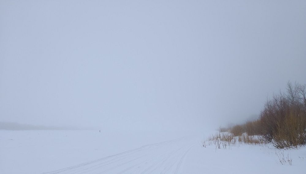 Photograph by Карпенко Александр