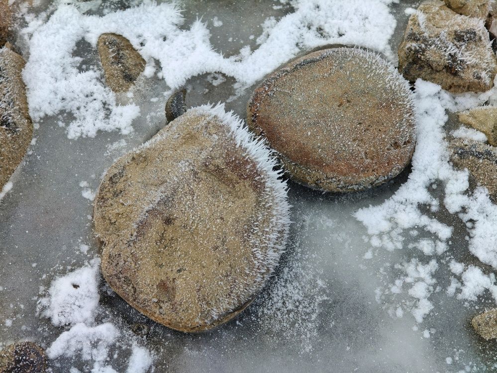 Photograph by Нина Кольман