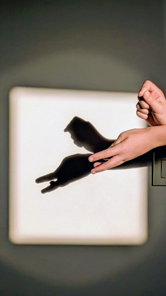 Photograph by Lilit Petrosyan