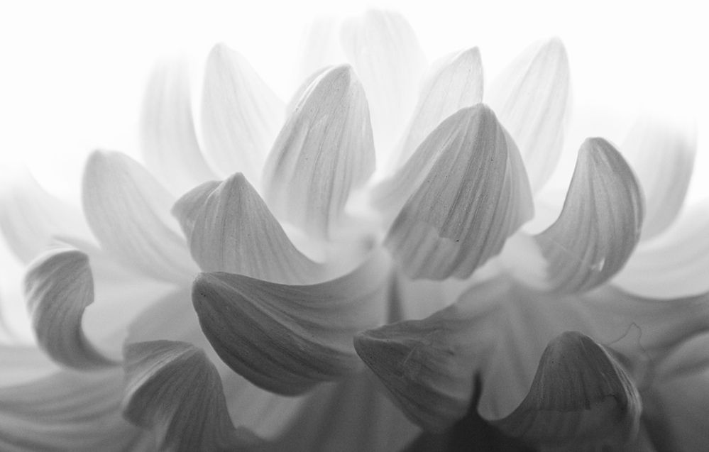 Photograph by Ирина Швейнова