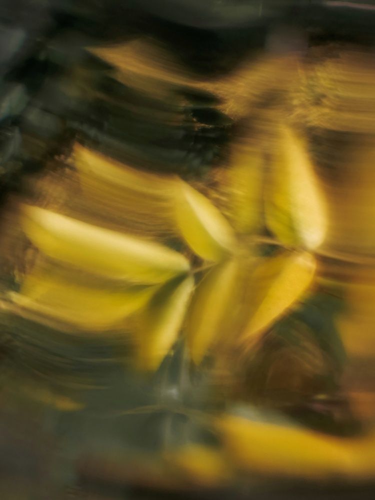 Photograph by Наталия Соболева