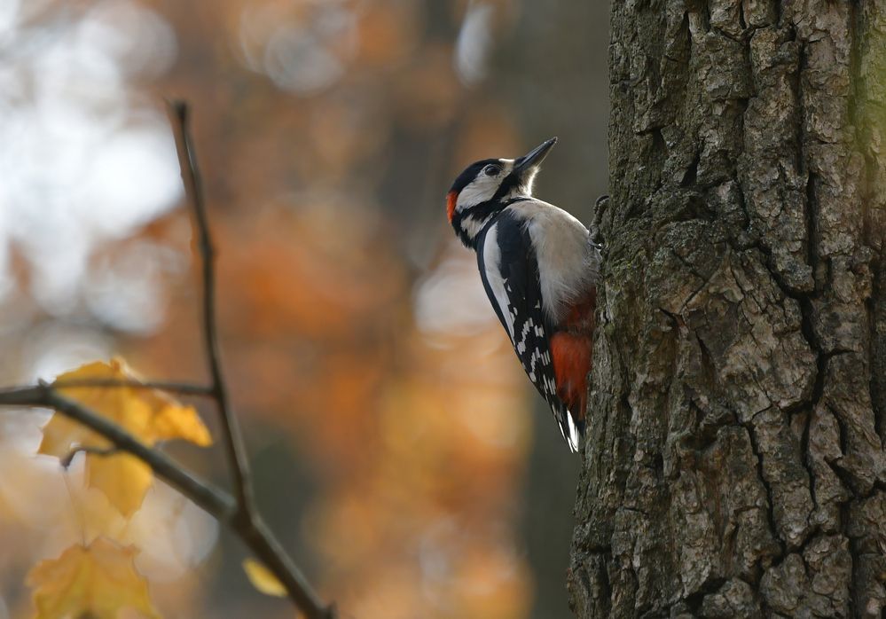 Photograph by Алексей Волжский
