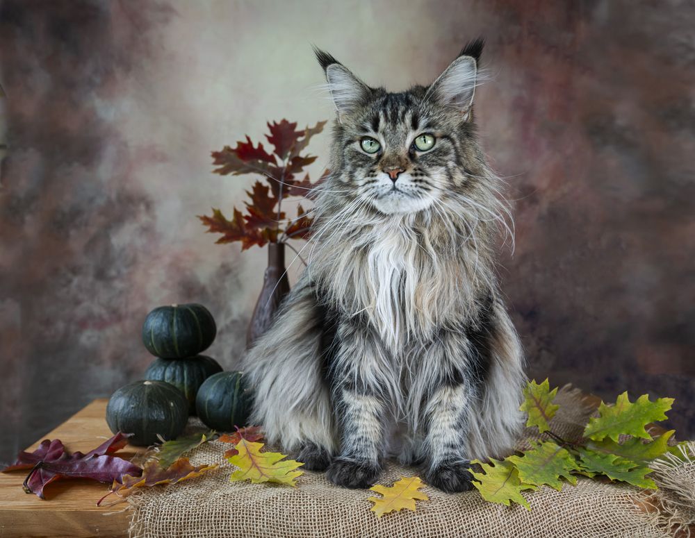 Photograph by NADEZHDA PELYMSKAIA