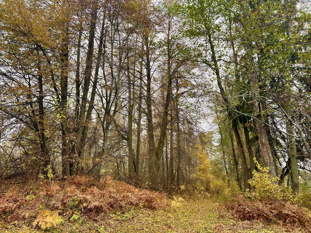 Photograph by Ирина Швейнова