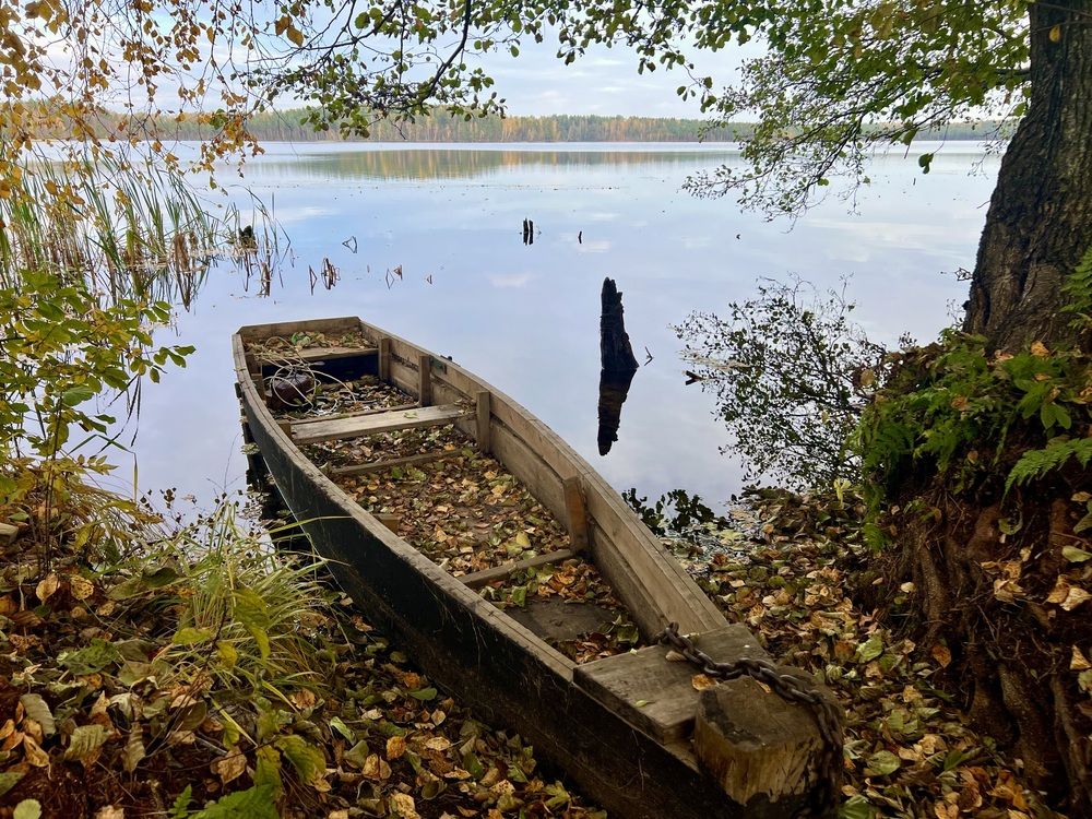 Photograph by Ирина Швейнова