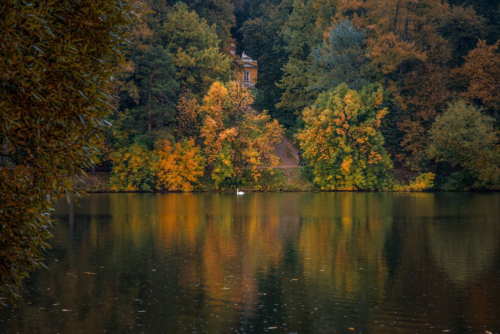 Фотография автора Сережин Сережа