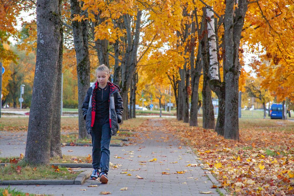 Фотография автора Алексей Борисов