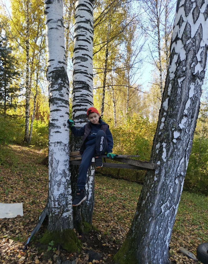 Фотография автора Ольга Петрова