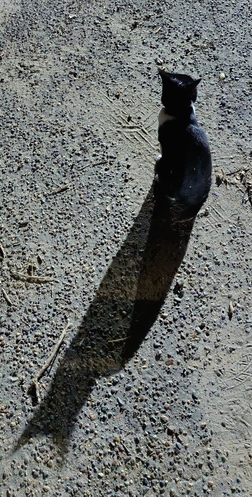 Фотография автора Геннадий Коробов