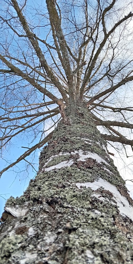 Фотография автора Геннадий Коробов