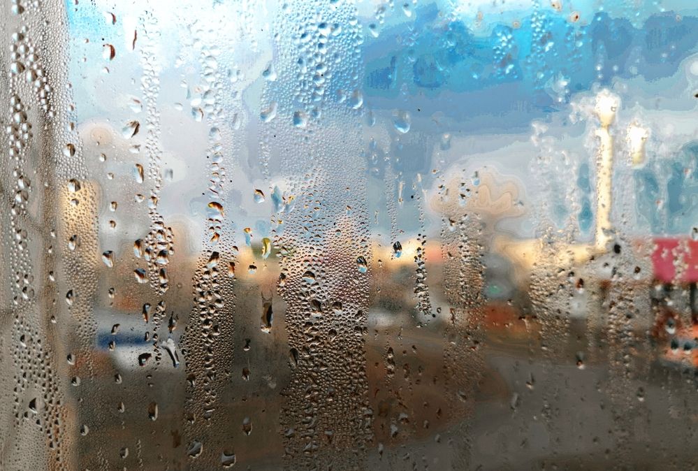 Фотография автора Ольга Кунакова