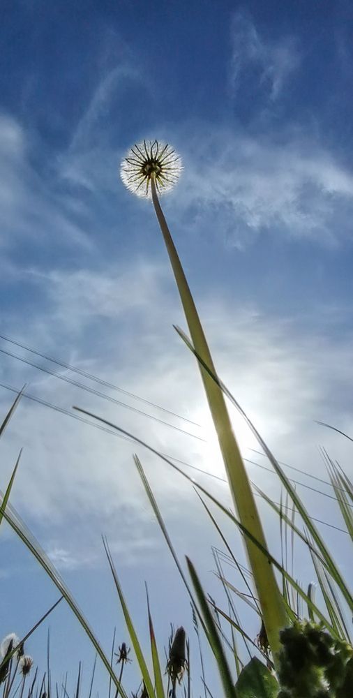 Фотография автора Геннадий Коробов