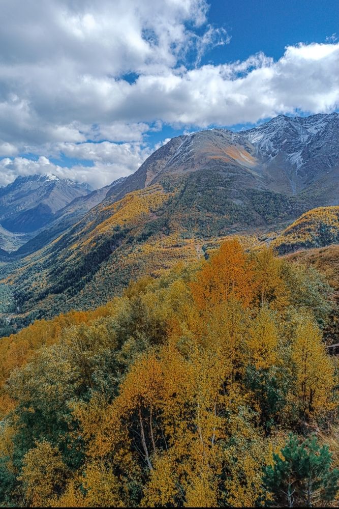 Photograph by Елена Щитова