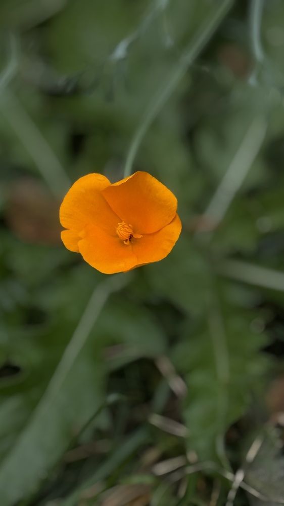 Photograph by Елена Гущина