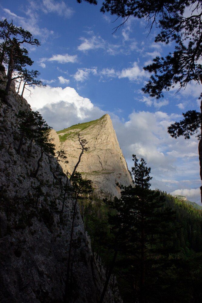 Photograph by Роман Якута