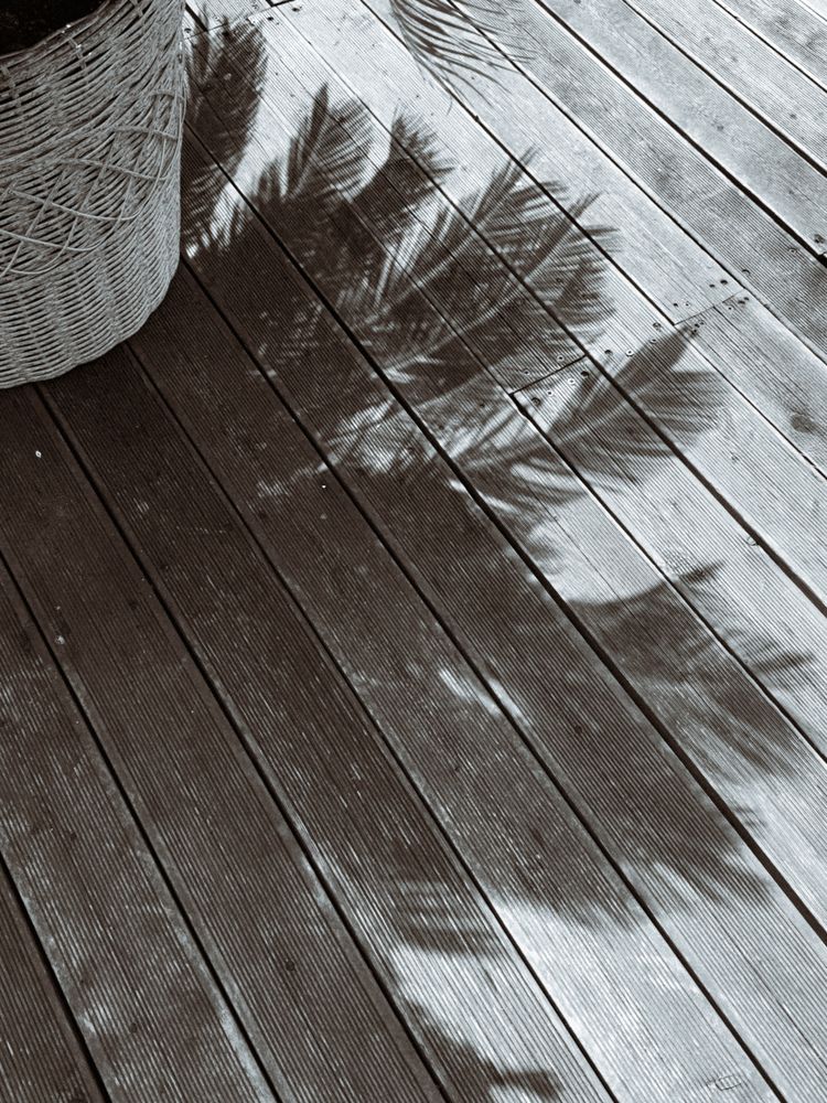 Photograph by Ксения Литвиненко