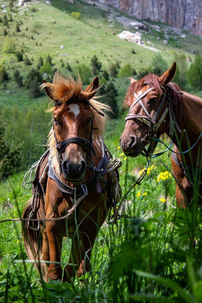 Фотография автора Роман Якута