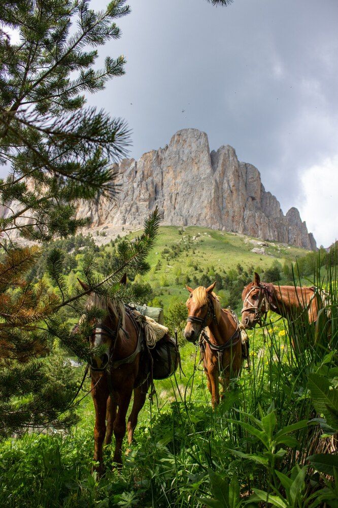 Фотография автора Роман Якута