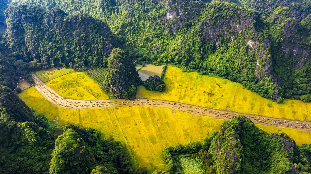 Photograph by THANH LE DUC