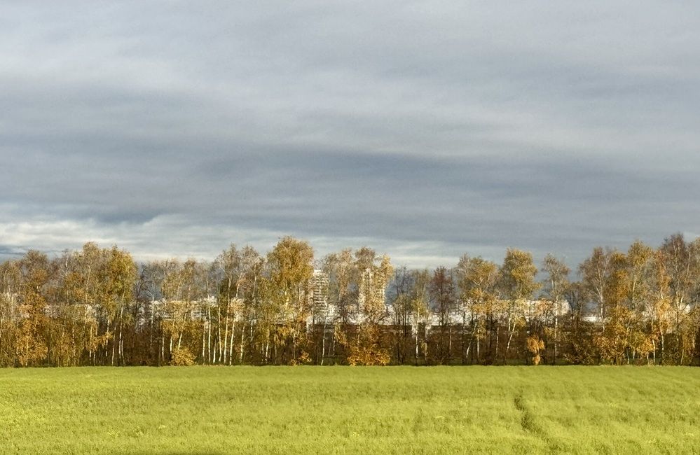 Photograph by Марина Сальникова