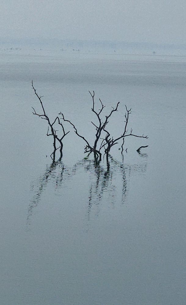 Photograph by Zubair Irshad