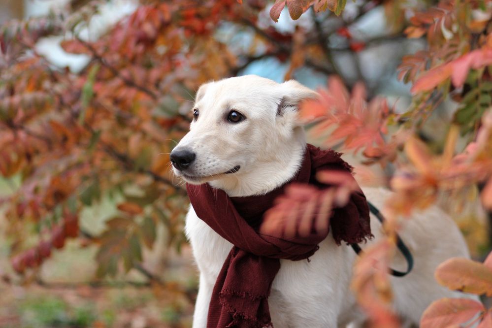 Photograph by Виктория Суркова