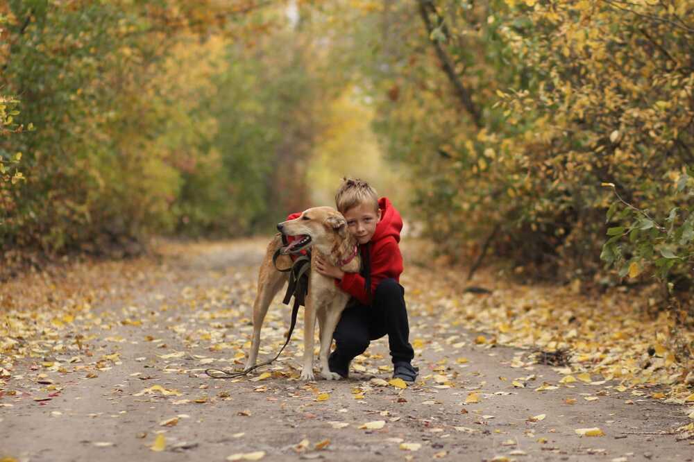 Photograph by Виктория Суркова