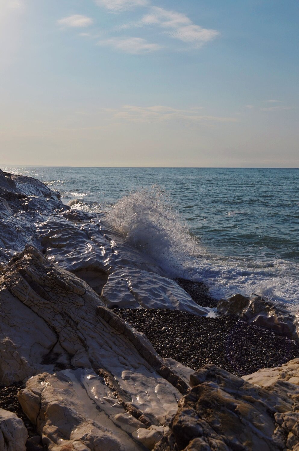 Photo #12714041