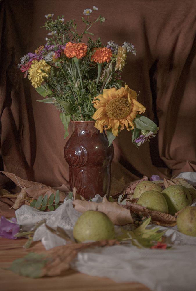 Photograph by Анна Орехова