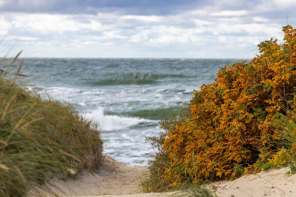 Photograph by Константин Чижов