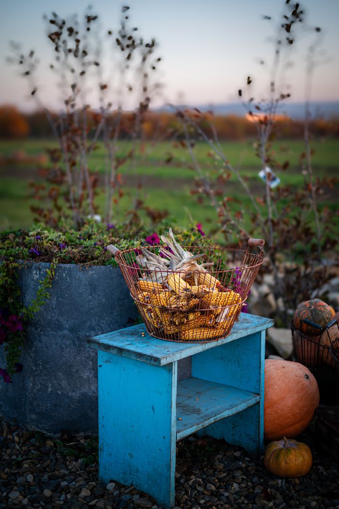 Photograph by Oksana Yermoshenko