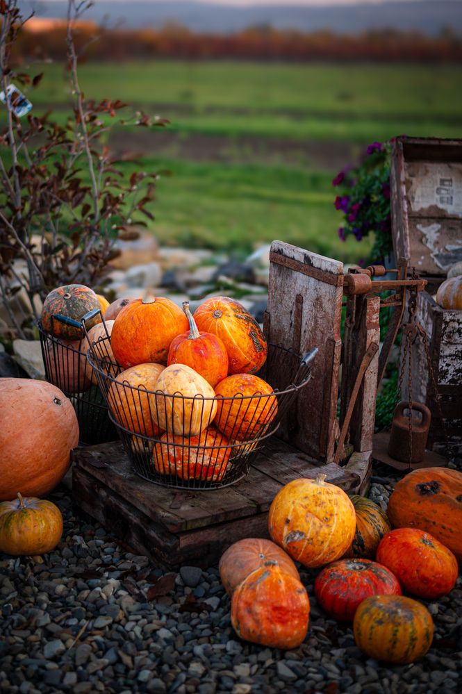 Photograph by Oksana Yermoshenko