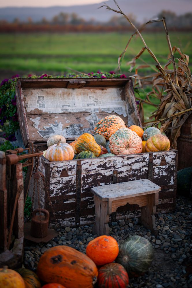 Photograph by Oksana Yermoshenko