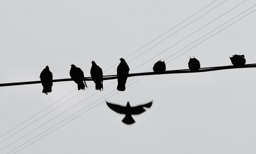 Photograph by Ирина Толстых