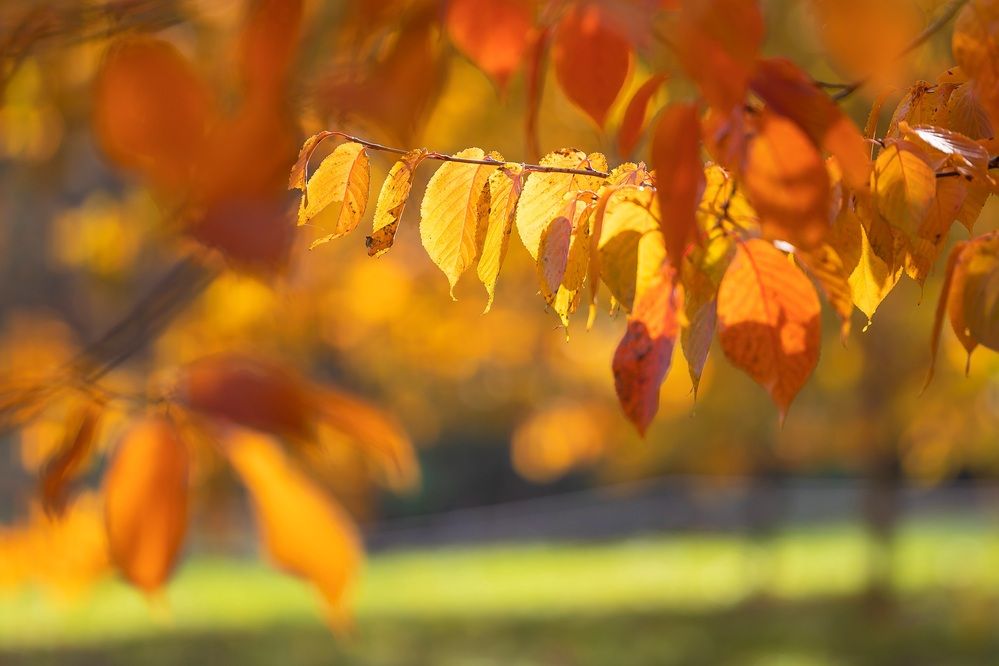 Photograph by Владимир Охрименко
