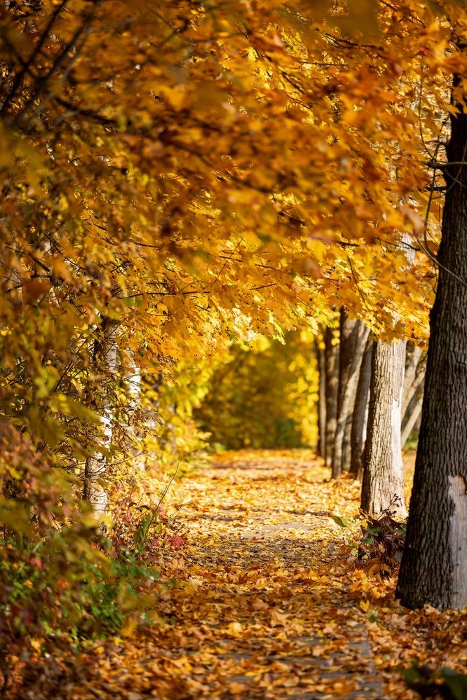 Photograph by Владимир Охрименко