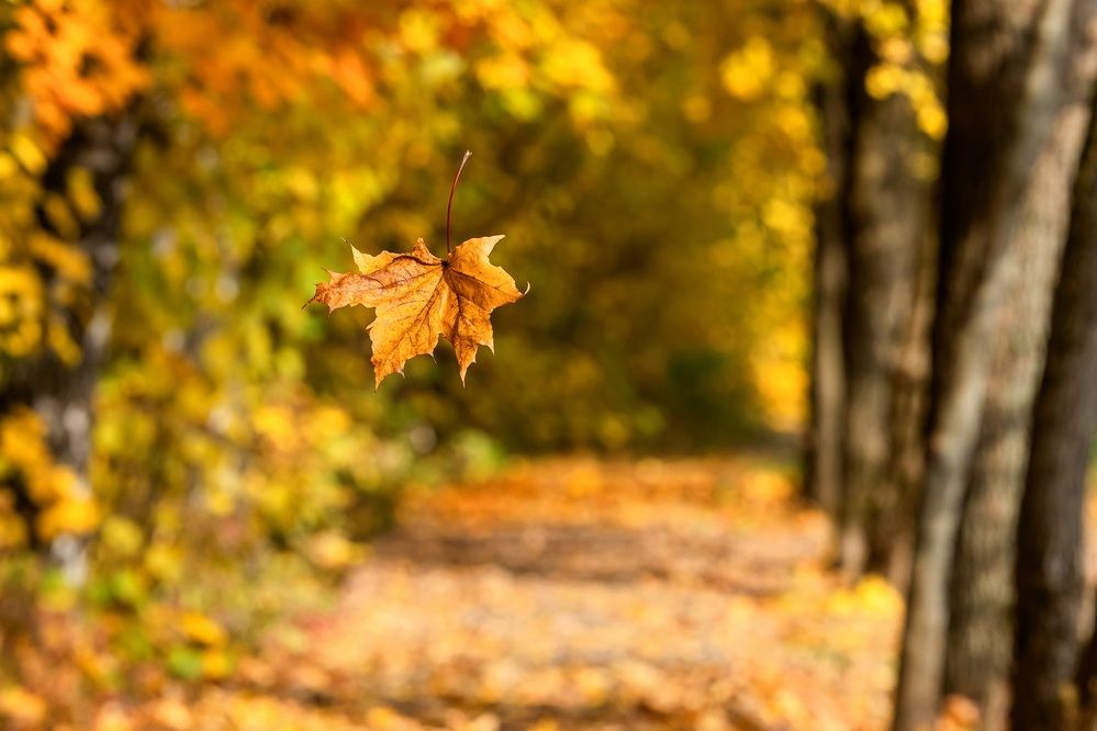 Photograph by Владимир Охрименко