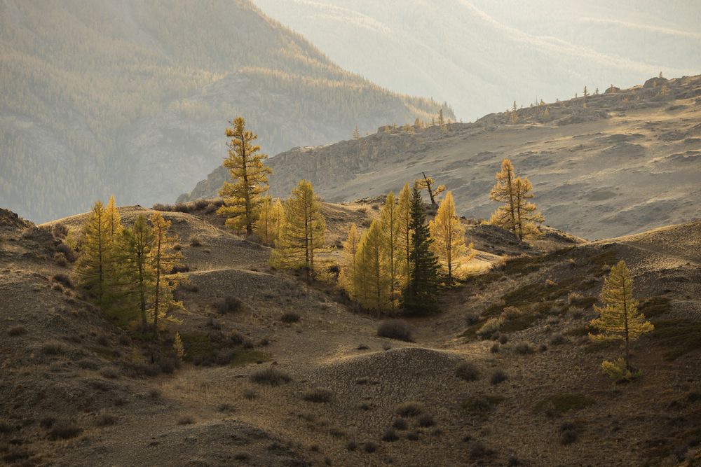 Photograph by Одаренко Ольга