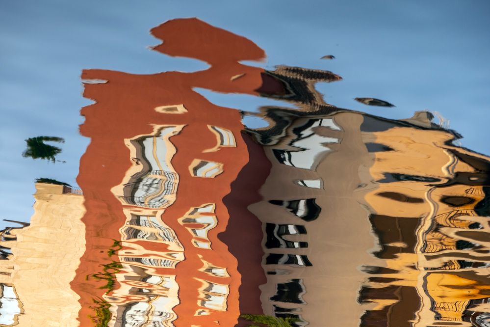 Photograph by Светлана