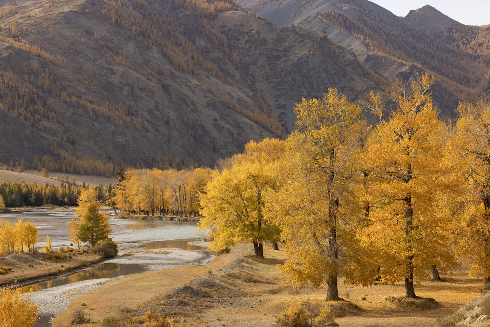 Photograph by Одаренко Ольга