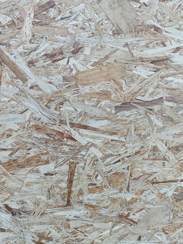 Фотография автора Екатерина Пачина