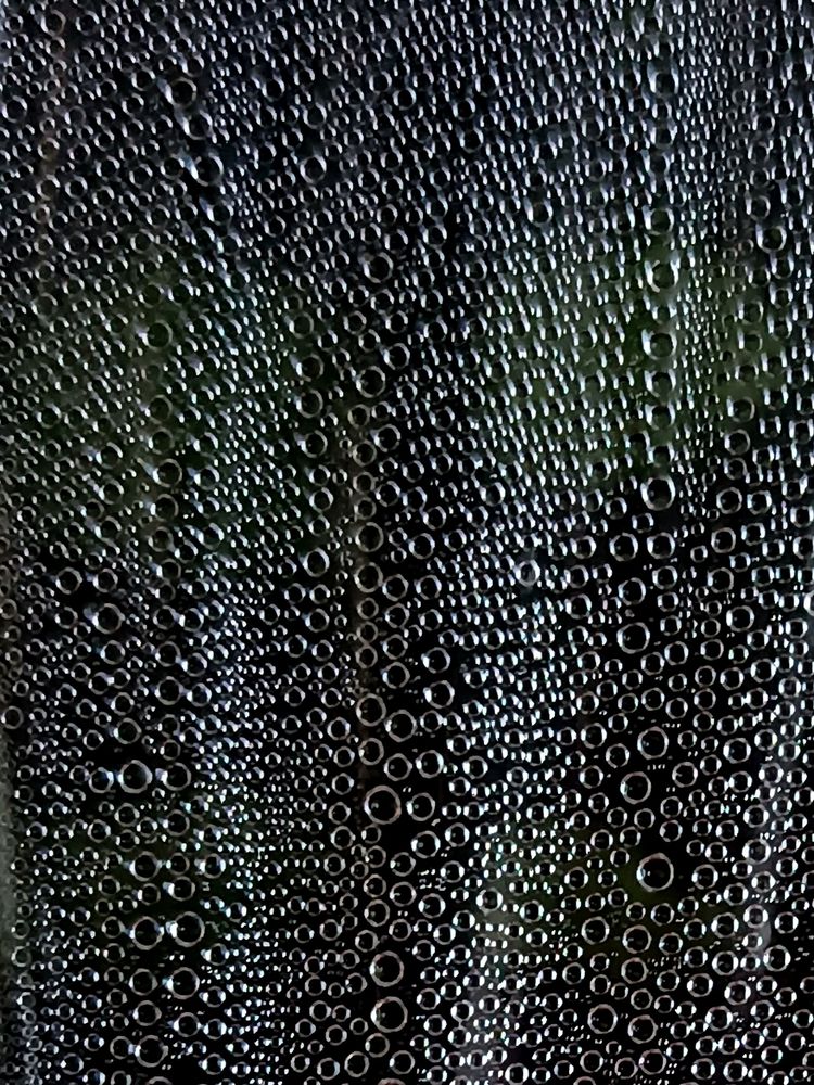 Фотография автора Екатерина Пачина