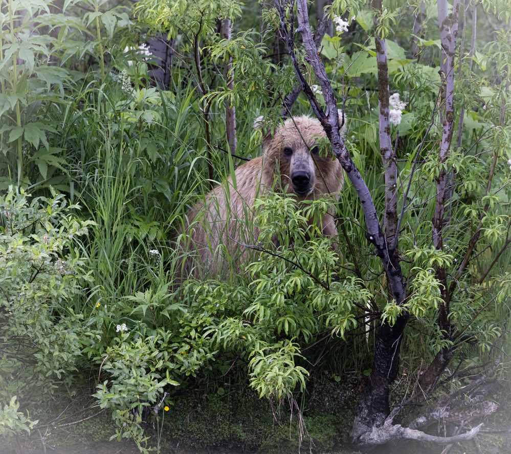Photograph by Одаренко Ольга