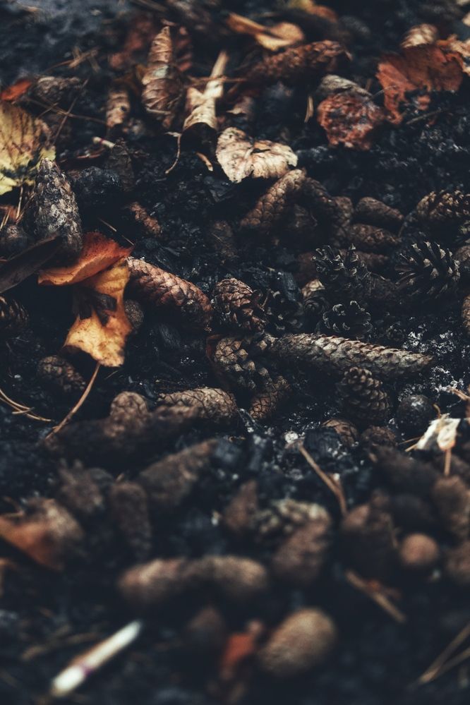 Фотография автора Алексей